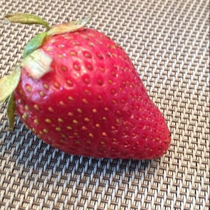 40 razones por las que los niños se niegan a comer 40 razones por las que los niños se niegan a comer