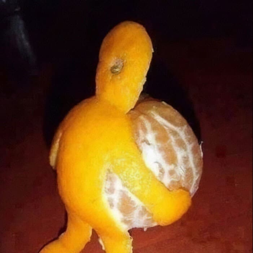 40 strange photos that you can't take your eyes off