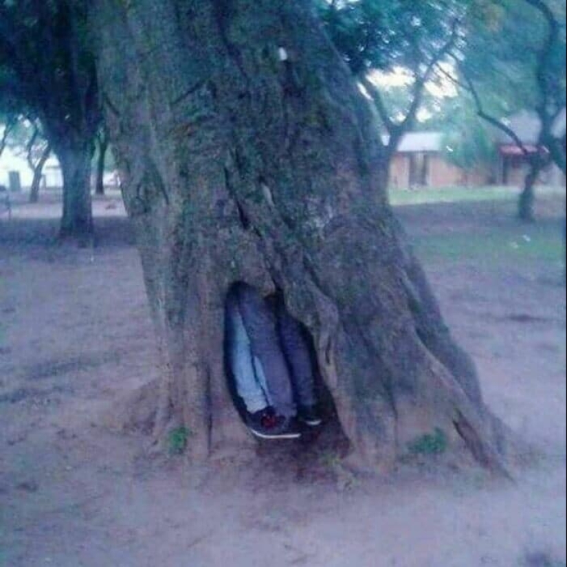 40 strange photos that you can't take your eyes off