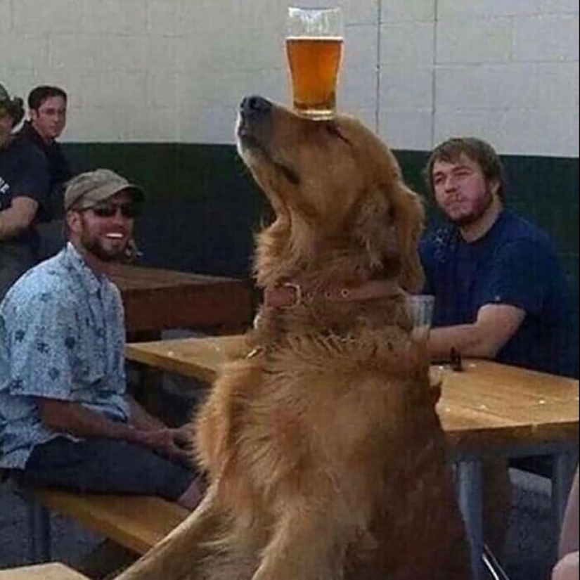 40 strange photos that you can't take your eyes off