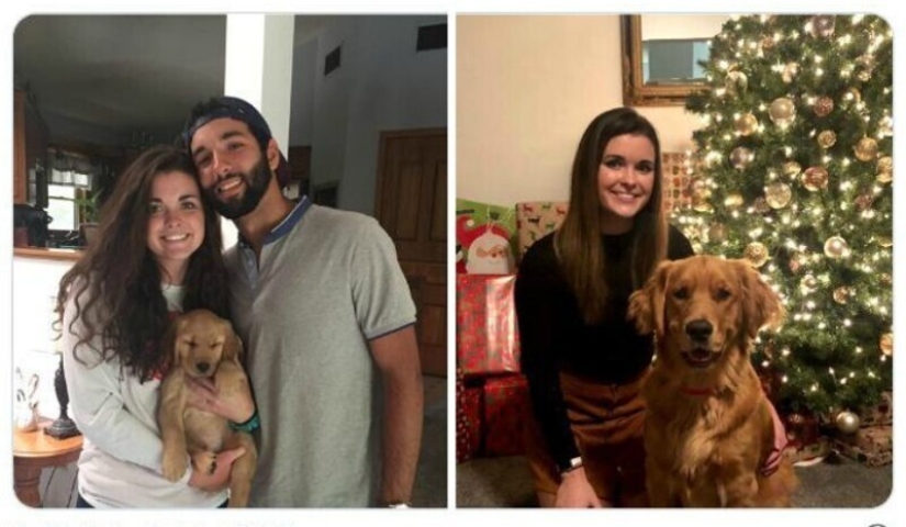 40 tocar fotos de animales en el estilo de "entonces y ahora" 40 tocar fotos de animales en el estilo de "entonces y ahora"