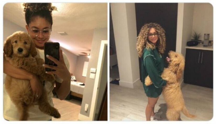 40 tocar fotos de animales en el estilo de "entonces y ahora" 40 tocar fotos de animales en el estilo de "entonces y ahora"