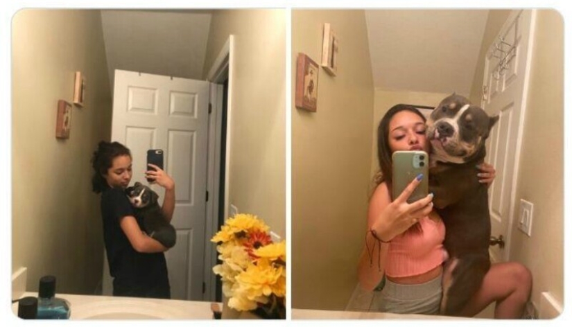 40 tocar fotos de animales en el estilo de "entonces y ahora" 40 tocar fotos de animales en el estilo de "entonces y ahora"