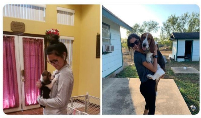 40 tocar fotos de animales en el estilo de "entonces y ahora" 40 tocar fotos de animales en el estilo de "entonces y ahora"