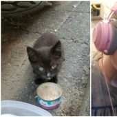 40 touching photos of animals in the style of "then and now"