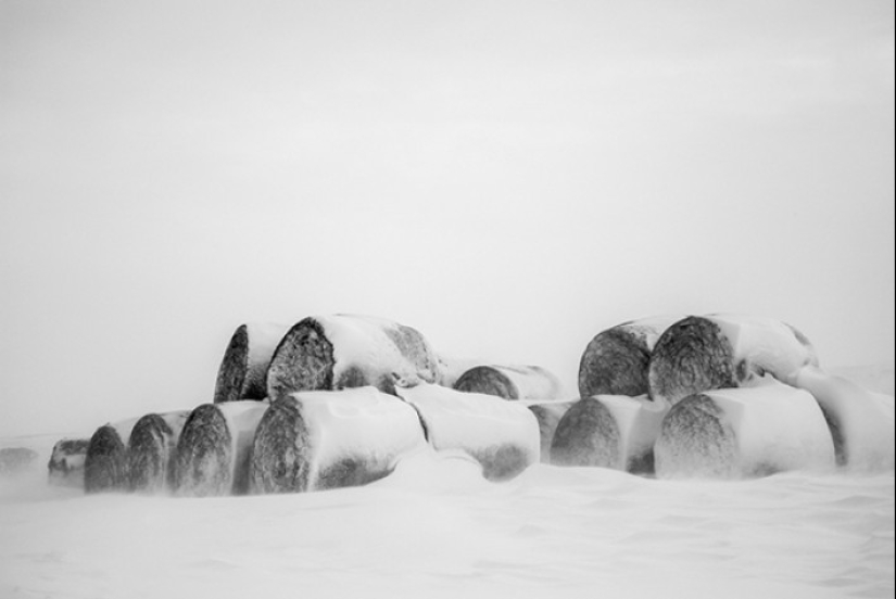 41st state: brutal farmers of Montana 41st state: brutal farmers of Montana