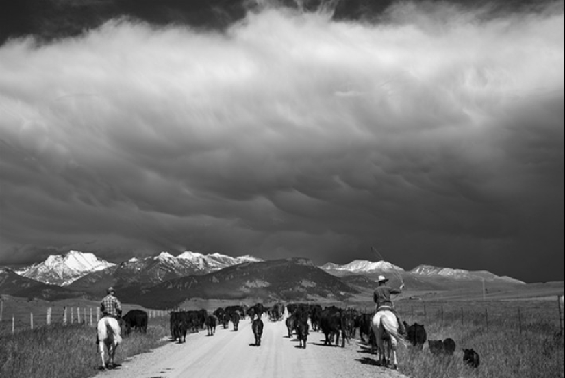 41st state: brutal farmers of Montana 41st state: brutal farmers of Montana