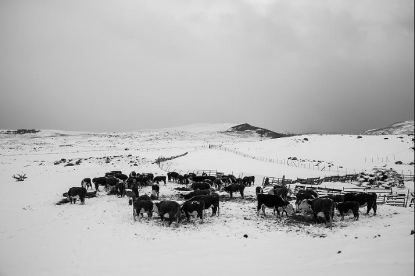 41st state: brutal farmers of Montana 41st state: brutal farmers of Montana