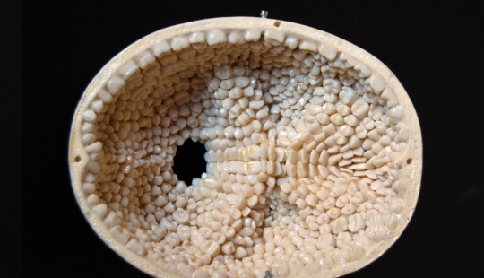 5 Historias Espeluznantes que Despertarán Tus Miedos Más Extraños