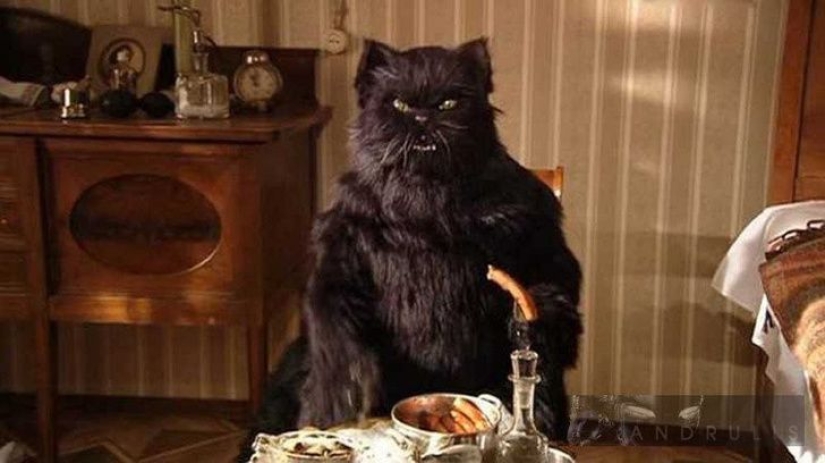 5 mitos y 5 realidades sobre los gatos negros en la cultura