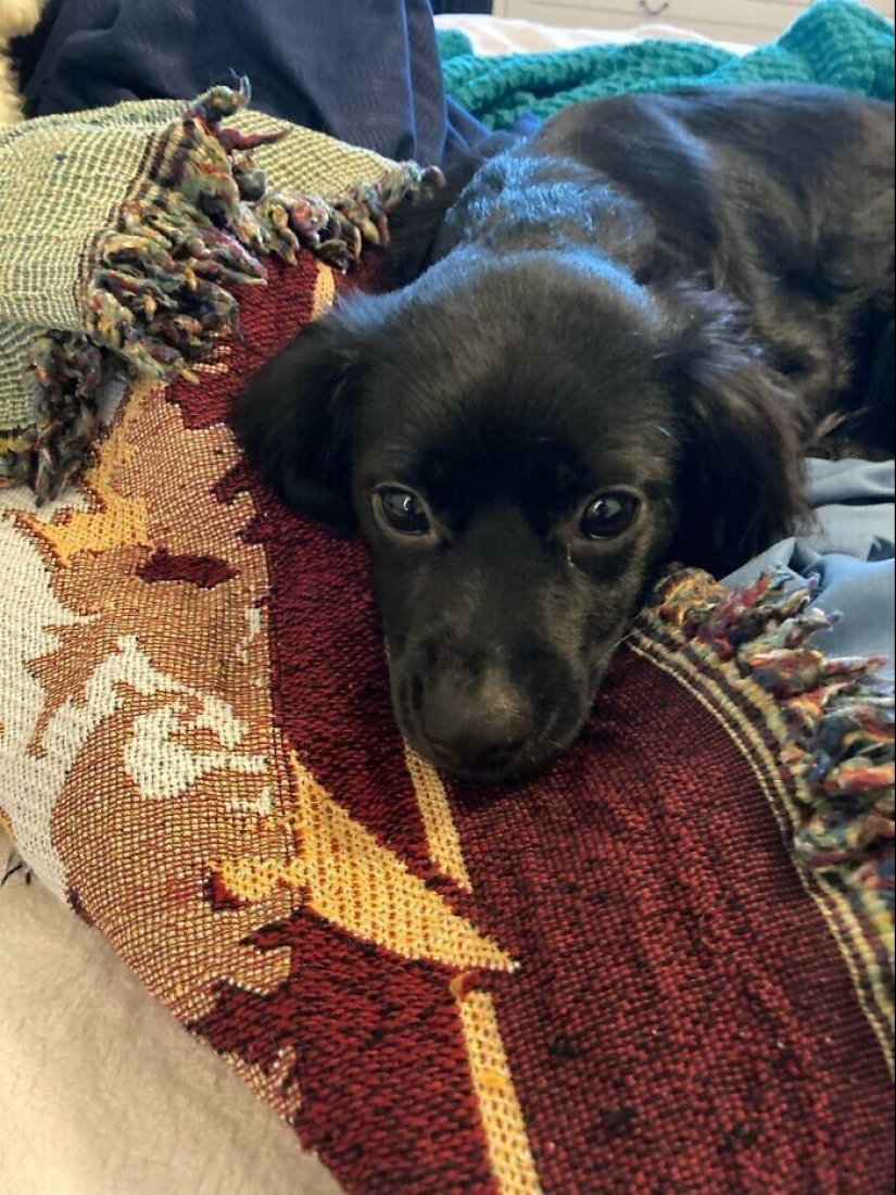 50 cosas geniales que se encuentran en un vertedero 50 cosas geniales que se encuentran en un vertedero