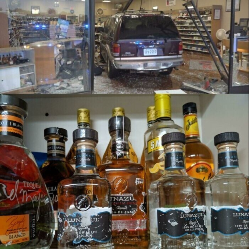 50 cosas geniales que se encuentran en un vertedero 50 cosas geniales que se encuentran en un vertedero