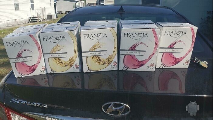 50 cosas geniales que se encuentran en un vertedero 50 cosas geniales que se encuentran en un vertedero