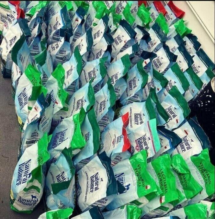 50 cosas geniales que se encuentran en un vertedero 50 cosas geniales que se encuentran en un vertedero