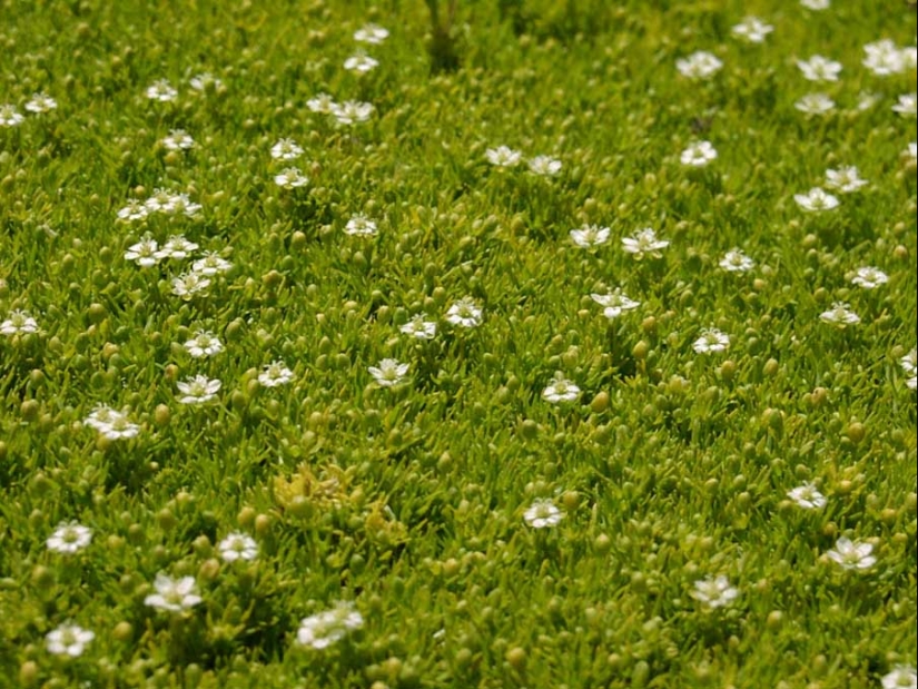 50 ejemplos de fotografía creativa 50 ejemplos de fotografía creativa