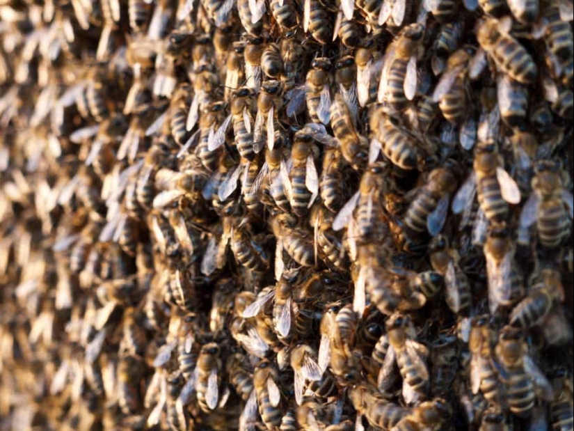 50 ejemplos de fotografía creativa 50 ejemplos de fotografía creativa