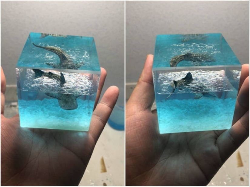 50 ejemplos de lo fascinante, inusual y diverso que es nuestro mundo