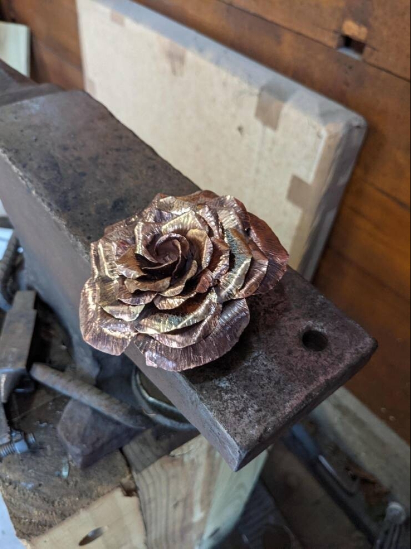 50 ejemplos de lo fascinante, inusual y diverso que es nuestro mundo