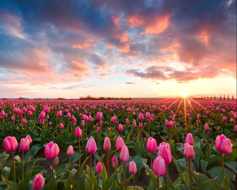 50 examples of creative photography 50 examples of creative photography