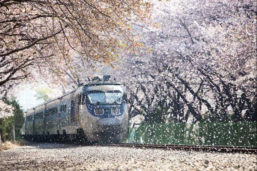 50 examples of creative photography 50 examples of creative photography