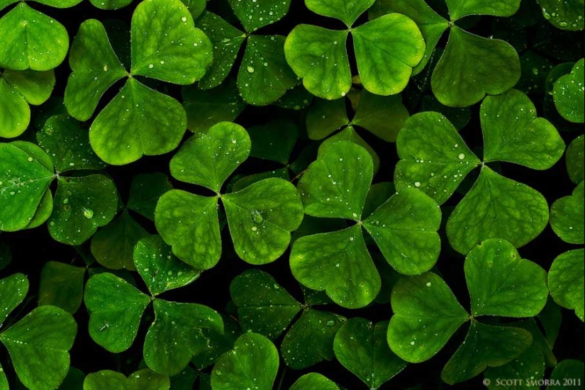 50 examples of creative photography 50 examples of creative photography