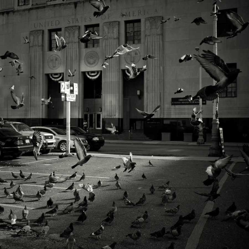 50 examples of creative photography 50 examples of creative photography