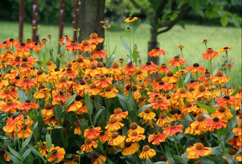 50 examples of creative photography 50 examples of creative photography