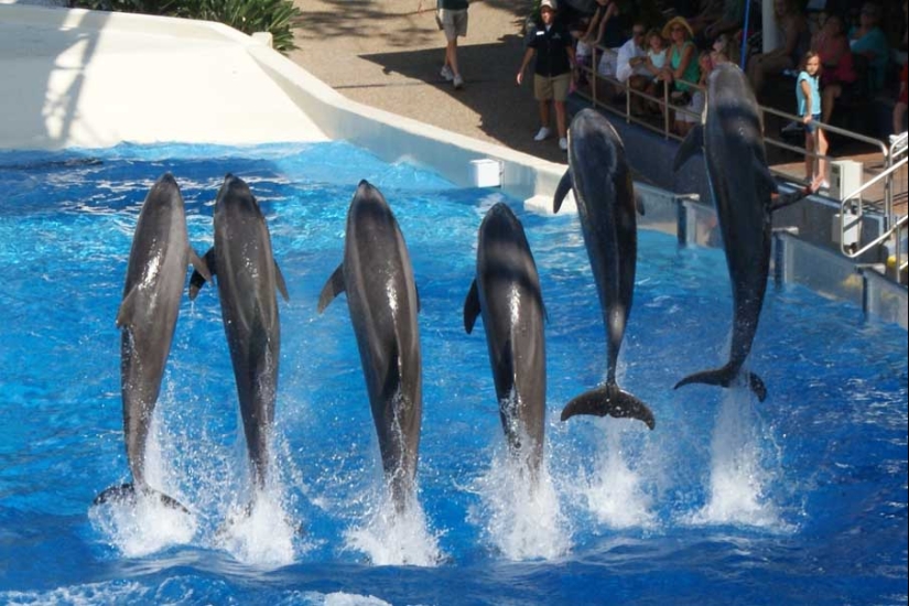 50 examples of creative photography 50 examples of creative photography