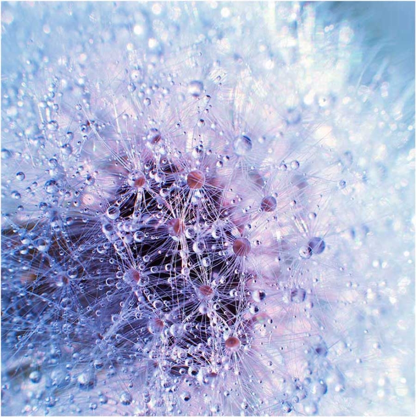 50 examples of creative photography 50 examples of creative photography