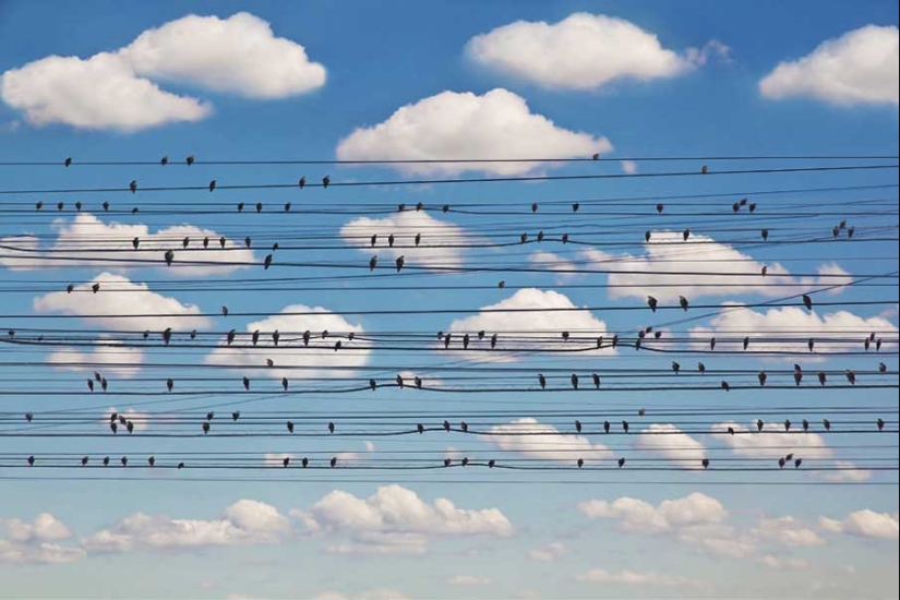 50 examples of creative photography 50 examples of creative photography