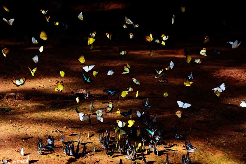 50 examples of creative photography 50 examples of creative photography