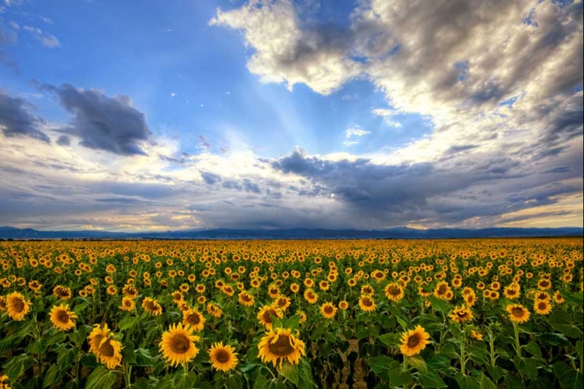 50 examples of creative photography 50 examples of creative photography