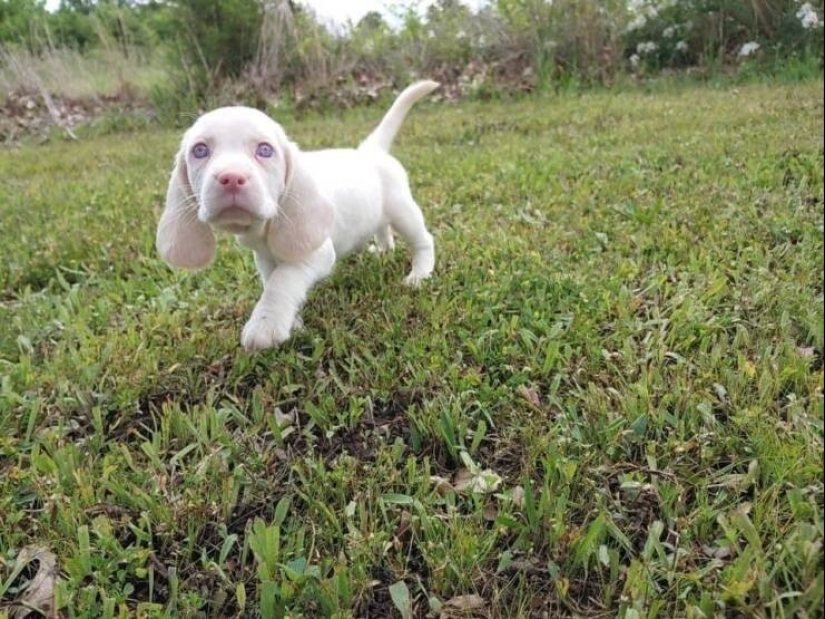 50 examples of how fascinating, unusual and diverse our world is