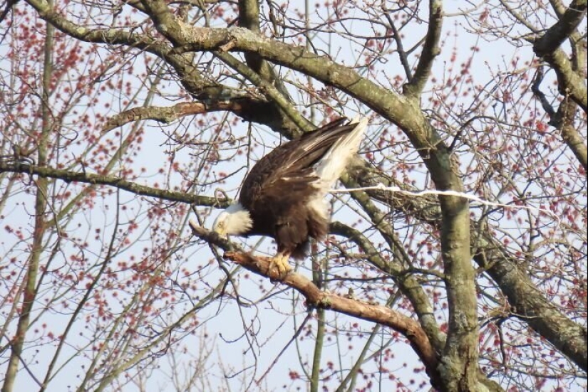 50 silly, ridiculous, indecent pictures of animals