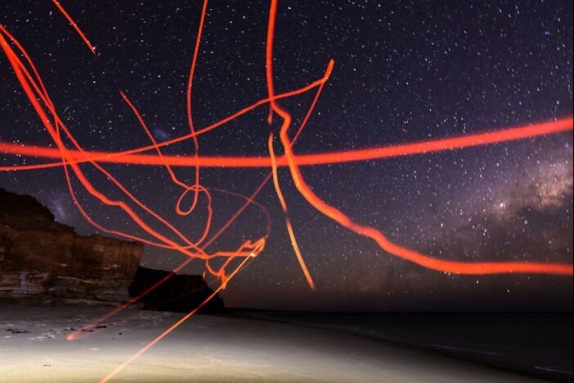 50 silly, ridiculous, indecent pictures of animals