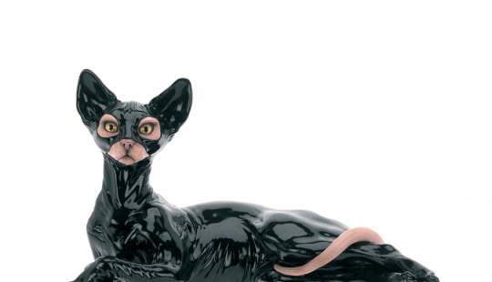 6 animals whose sex life will seem familiar to a person