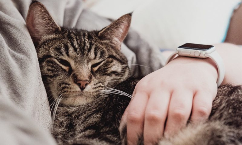 6 formas inusuales, pero muy efectivas de aprender cualquier cosa 6 formas inusuales, pero muy efectivas de aprender cualquier cosa