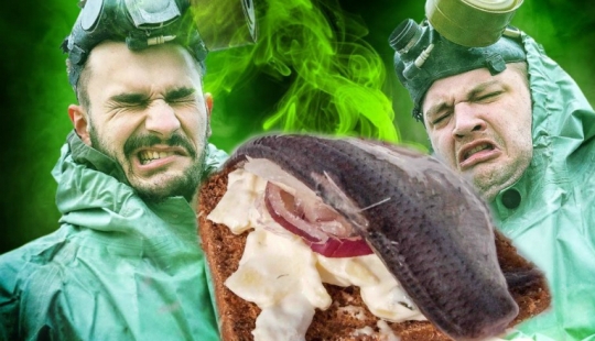 6 very strange Scandinavian fish dishes, from where tourists turn up