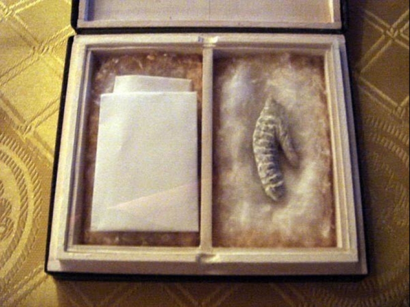 7 figuras históricas cuyas partes del cuerpo fueron robadas después de la muerte 7 figuras históricas cuyas partes del cuerpo fueron robadas después de la muerte