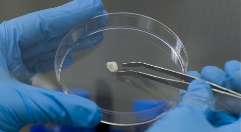 8 increíbles descubrimientos científicos que nos hemos perdido