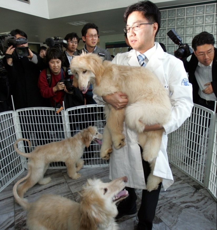 8 increíbles descubrimientos científicos que nos hemos perdido