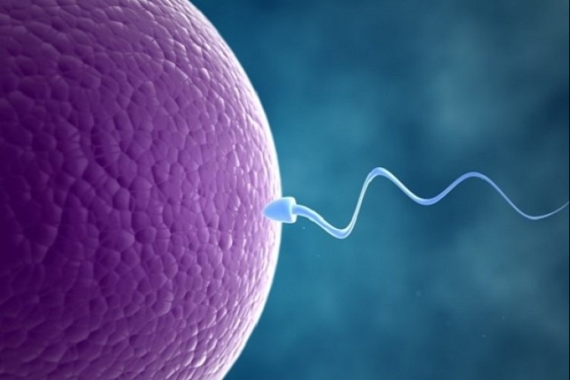 8 increíbles descubrimientos científicos que nos hemos perdido