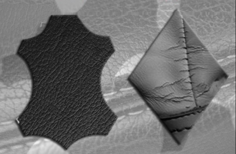 8 maneras de distinguir de cuero genuino de la hecha por el hombre 8 maneras de distinguir de cuero genuino de la hecha por el hombre