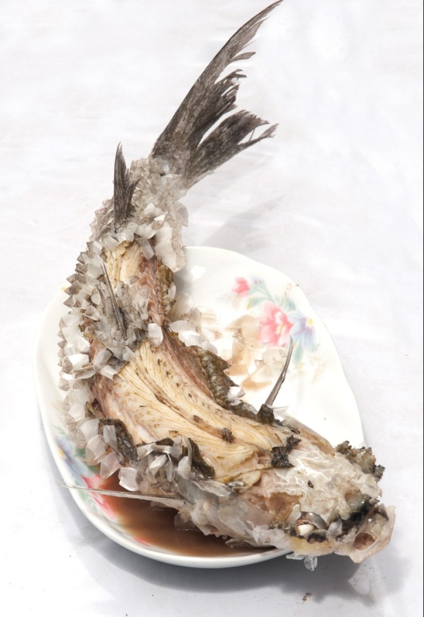 8 unique dishes from Thailand that will satisfy any gourmet