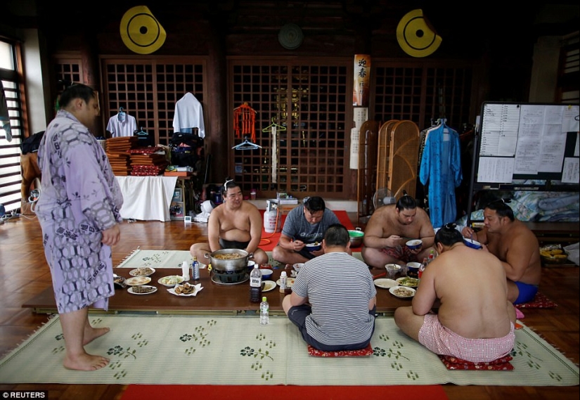 8000 calories a day and oxygen masks - how sumo wrestlers live
