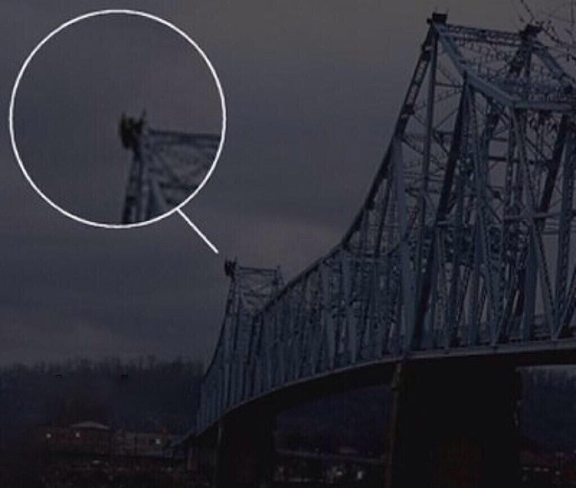 9 historias de la vida real que Hollywood llevó a los thrillers 9 historias de la vida real que Hollywood llevó a los thrillers