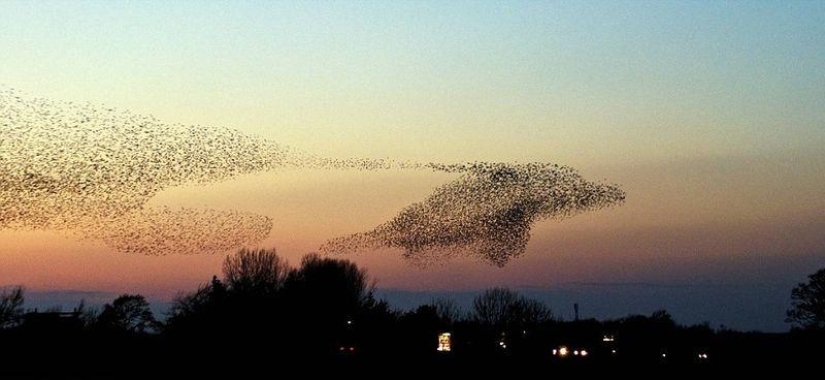 9 momentos increíbles atrapados en el marco 9 momentos increíbles atrapados en el marco