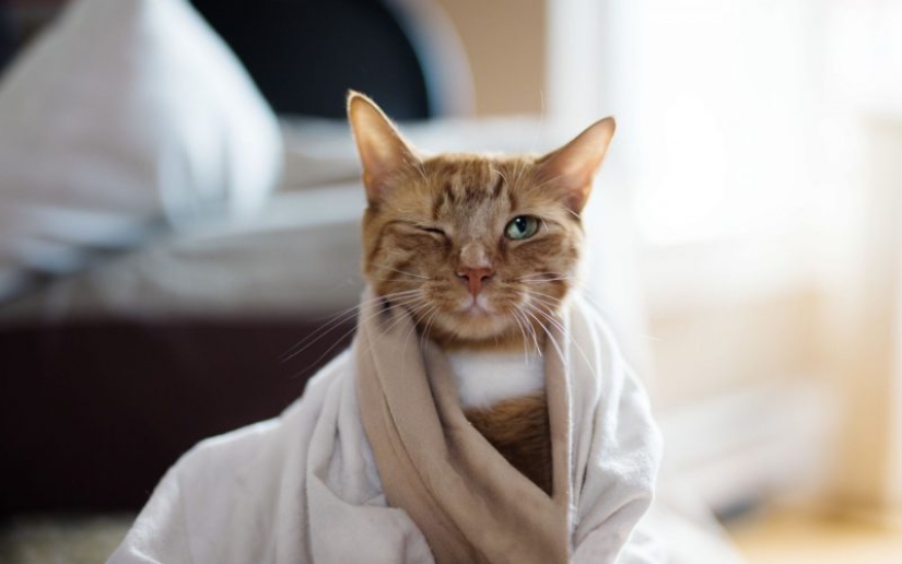 9 obligatoria cosas, sin la cual nunca llega el otoño 9 obligatoria cosas, sin la cual nunca llega el otoño