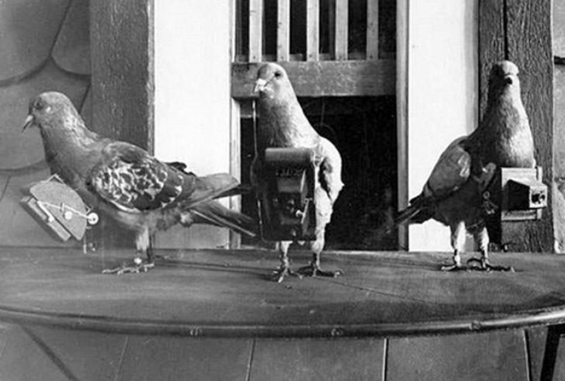 9 primeras fotografías del mundo 9 primeras fotografías del mundo