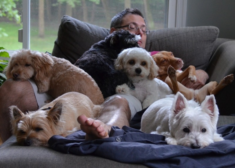 9 razones científicamente probadas para conseguir un perro 9 razones científicamente probadas para conseguir un perro